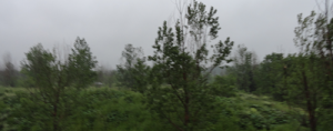 Rainy Oakville June 1 , 2012 as rain falls over Bronte Creek Provincial Park