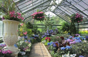 Floral showhouse